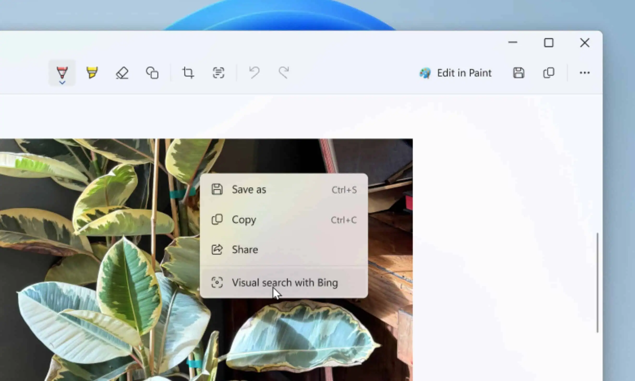 Windows 11 Snipping Tool Visual Search