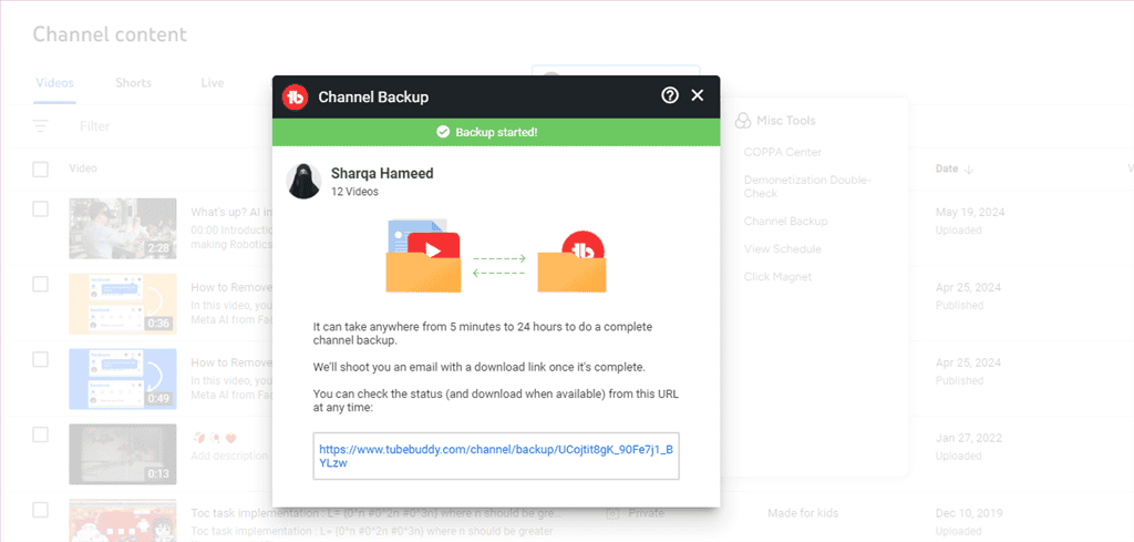 creating channel backup using tubebuddy