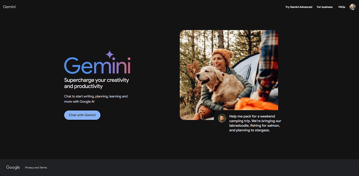 Gemini webpage