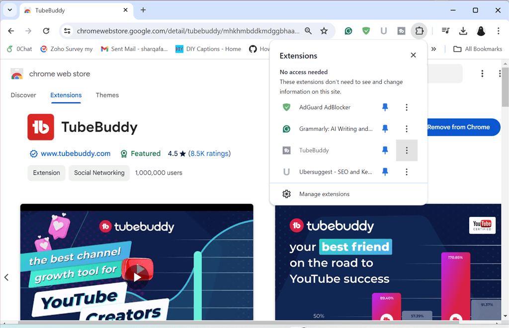 viewing tubebuddy extension in chrome