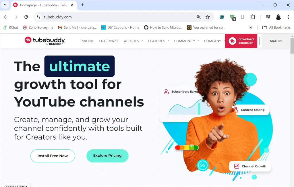 visiting official website of tubebuddy