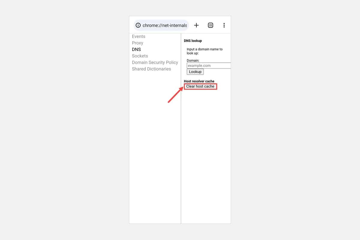 Chrome net internals dns How To Clear DNS Cache On Chrome