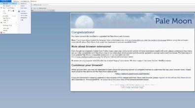 Pale Moon Engine Waterfox Alternative: 8 Private and Feature-Rich Browsers