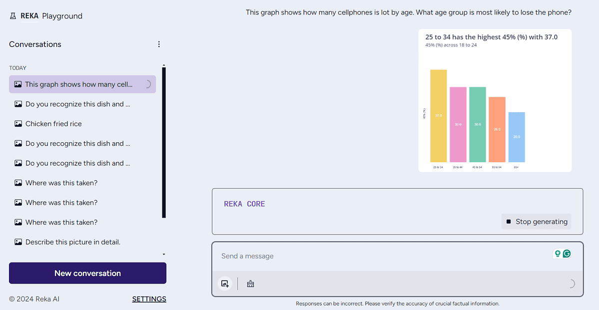 Reka AI Data Understanding