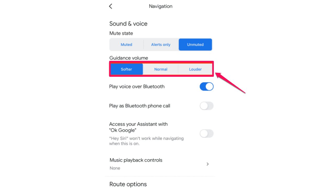 Guidance volume settings