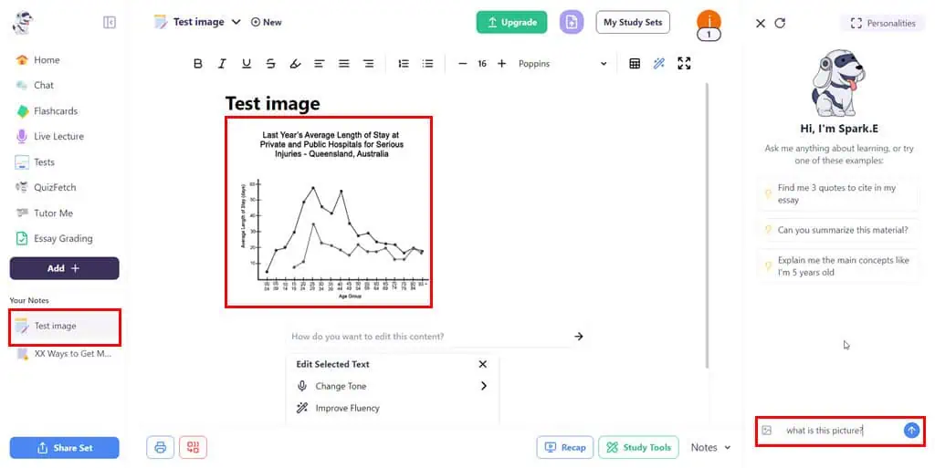 ask image questions