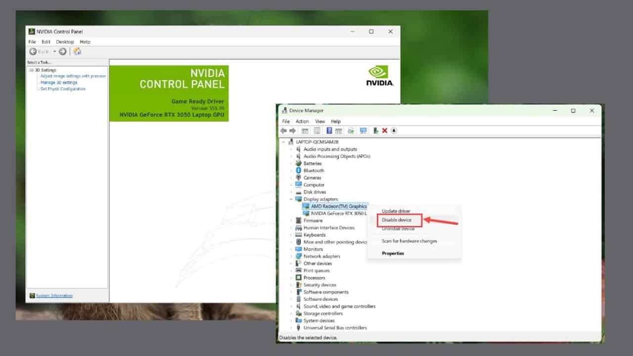 NVIDIA Control Panel Only Shows 3D Settings