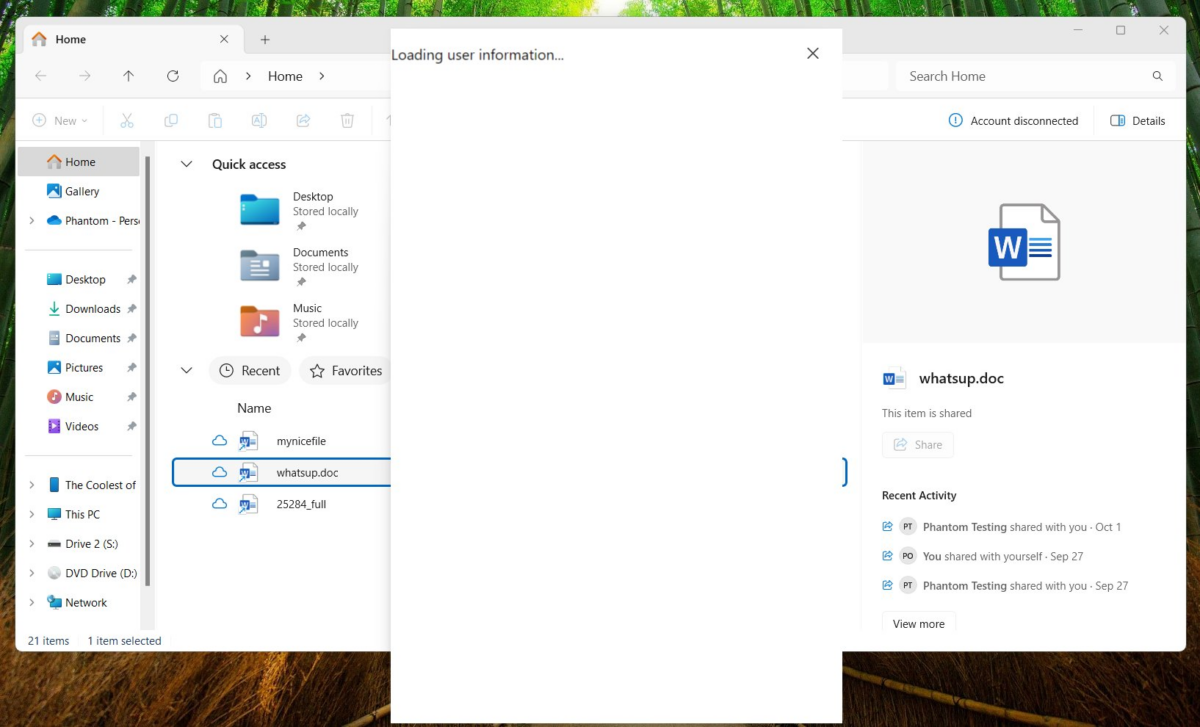 Windows 11 File Explorer