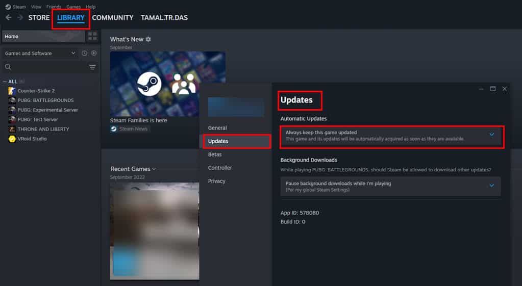 update game steam