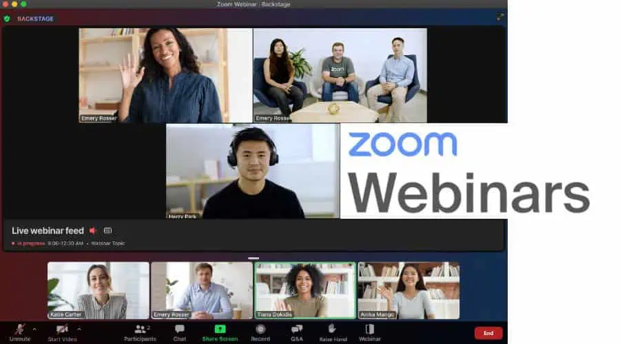 Zoom Webinars and Meetings