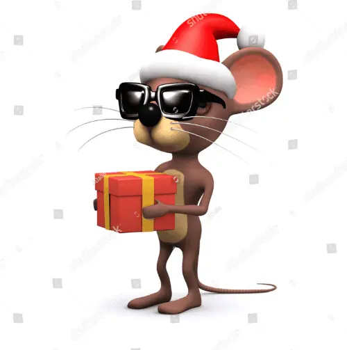 A Mouse Holding a Gift