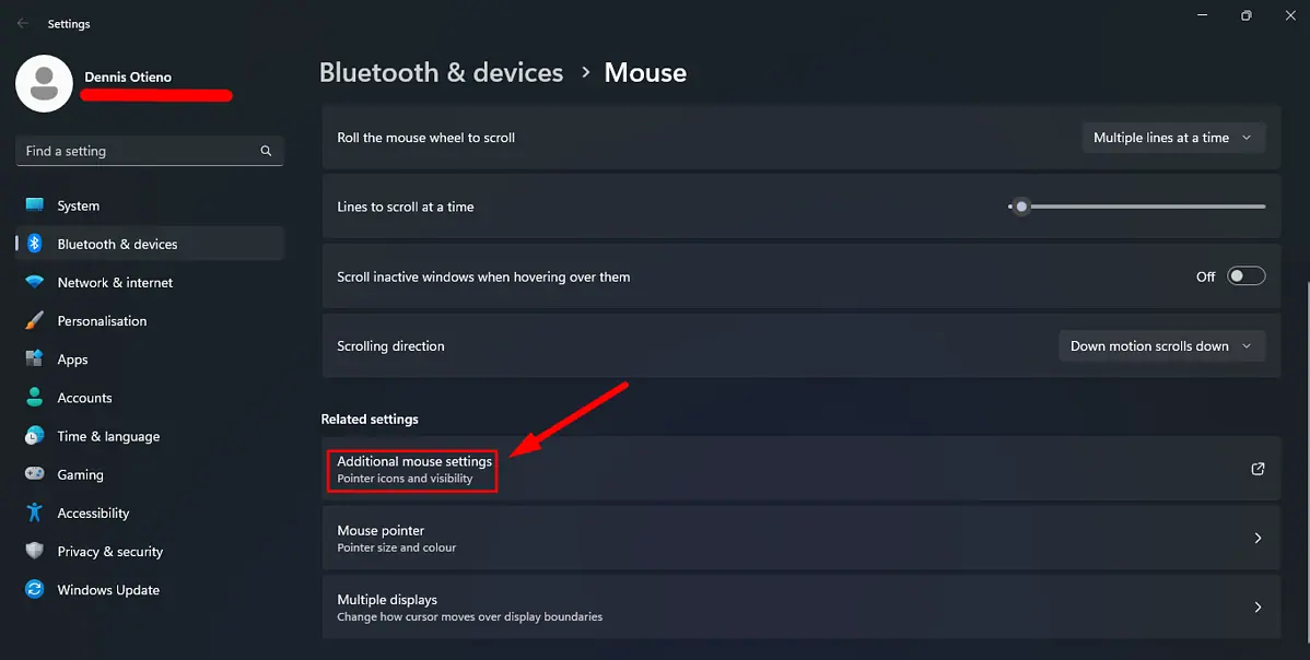 Additional mouse settings