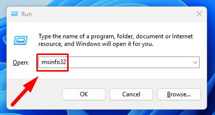 Type msinfo32