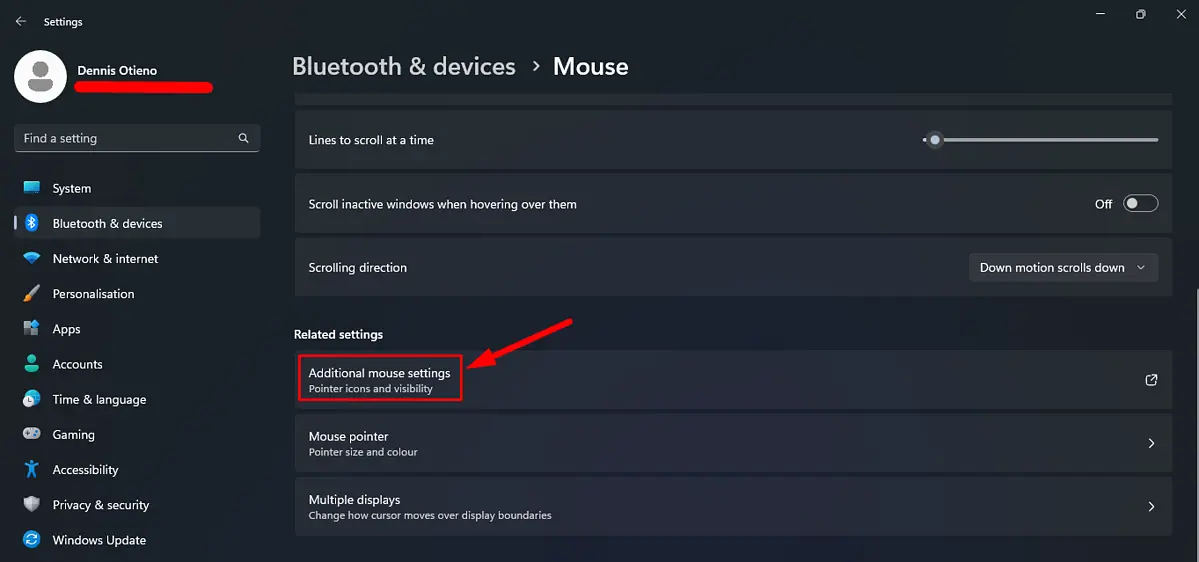 Additional mouse settings