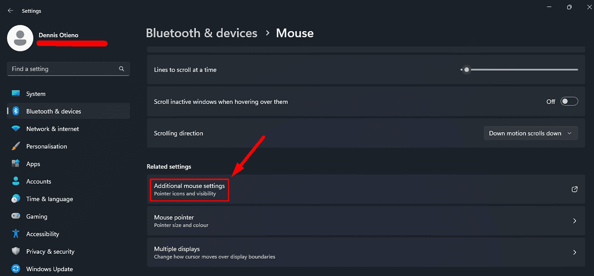 Additional mouse settings