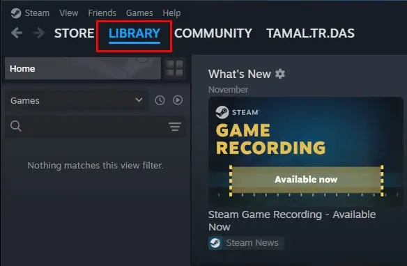 Steam library