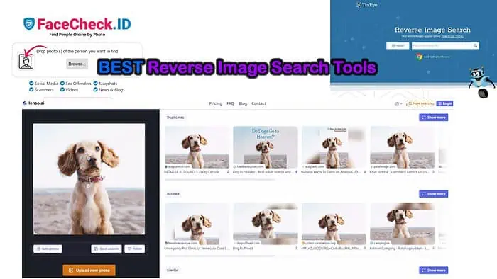 Best Reverse Image Search Tools