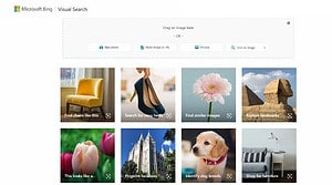 Best Reverse Image Search Tools 10 Top Picks Best Reverse Image Search Tools 10 Top Picks