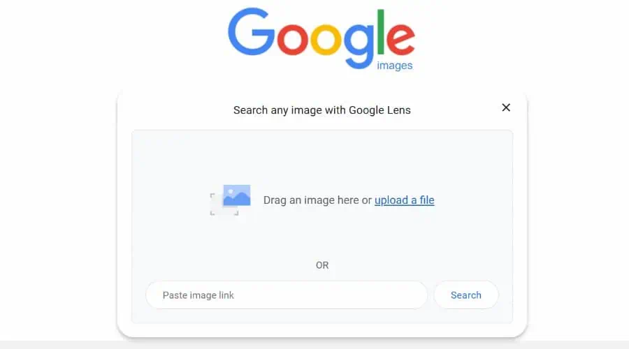 Google Lens reverse image search