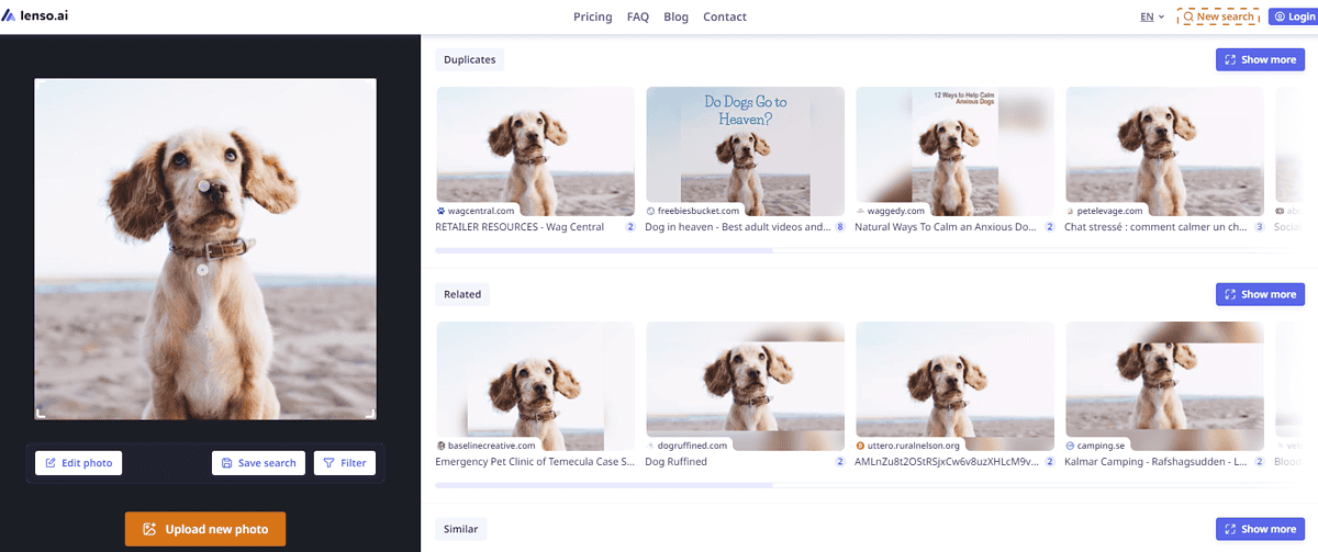 lenso.ai reverse image search