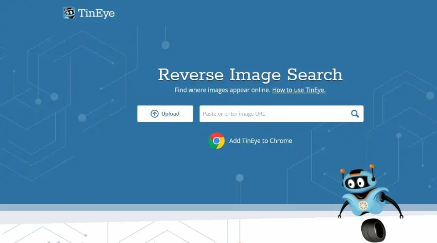 TinEye reverse image search