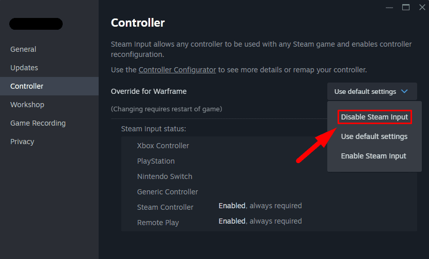 Disable Steam Input