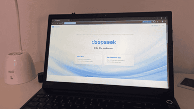 DeepSeek