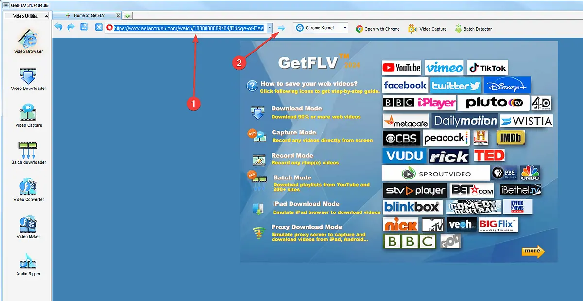 GetFLV  with link