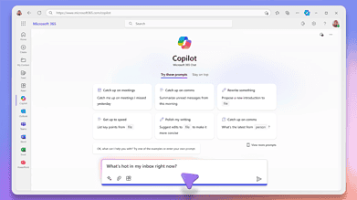 Microsoft Copilot interface