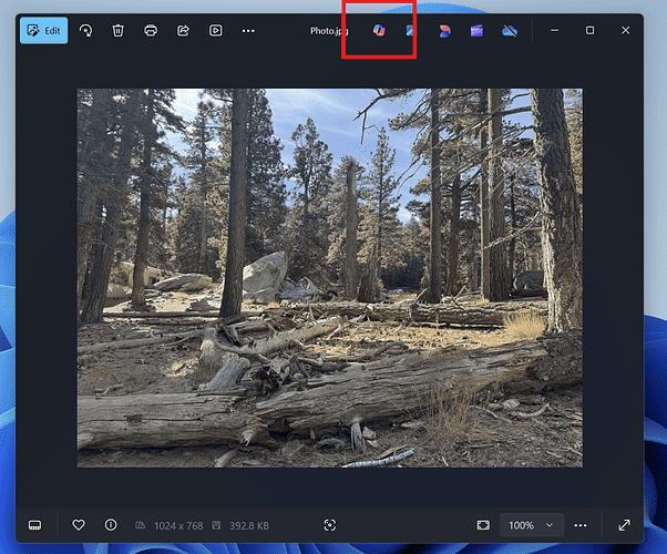 The Photos app is now actually useful thanks to Microsoft's latest update