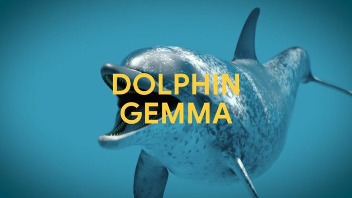 Google launched DolphinGemma on National Dolphins Day to analyse and communicate with dolphins.