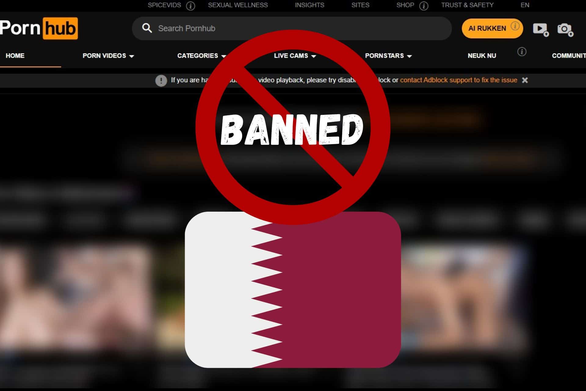 qatar pornhub ban