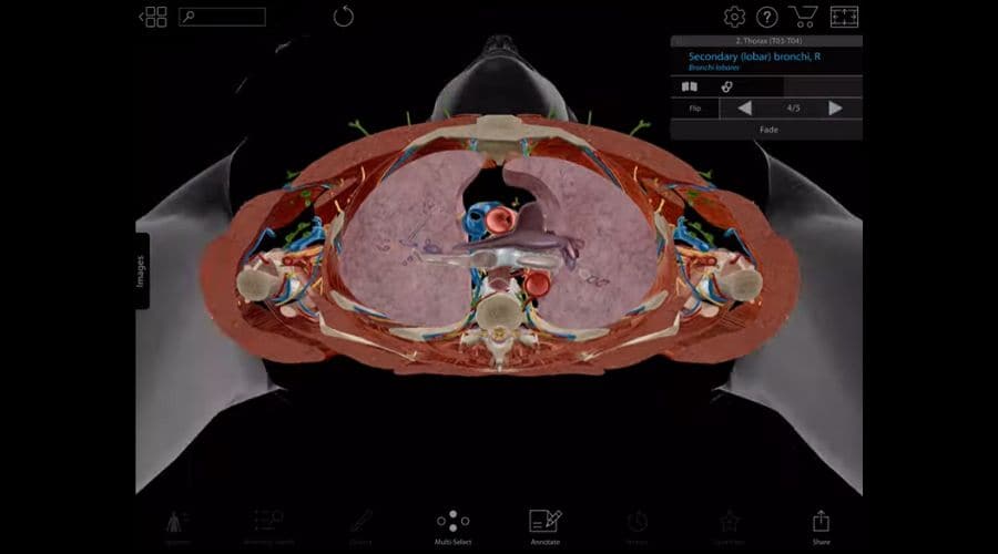 Human Anatomy Atlas app