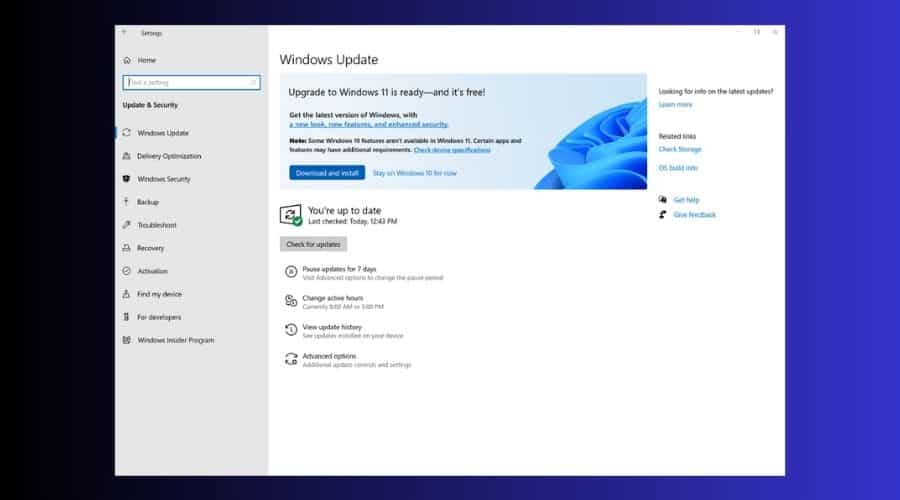 upgrade to windows 11 to windows 10